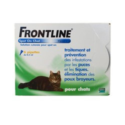 FRONTLINE Chat