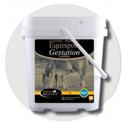 Equisport Gestation Lactation