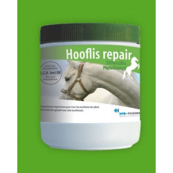 Hooflis repair 