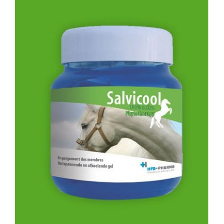 Salvicool 