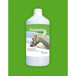 Shampooing ECO