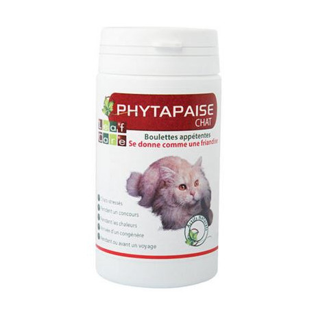 PHYTAPAISE CHAT