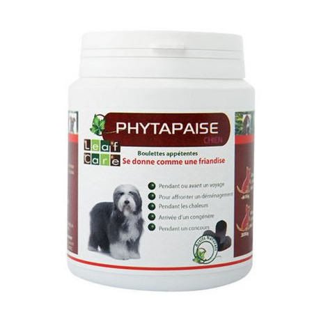 PHYTAPAISE CHIEN