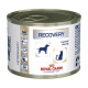 ROYAL CANIN Veterinary Diet - Recovery