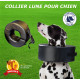 COLLIERS LUNE chien