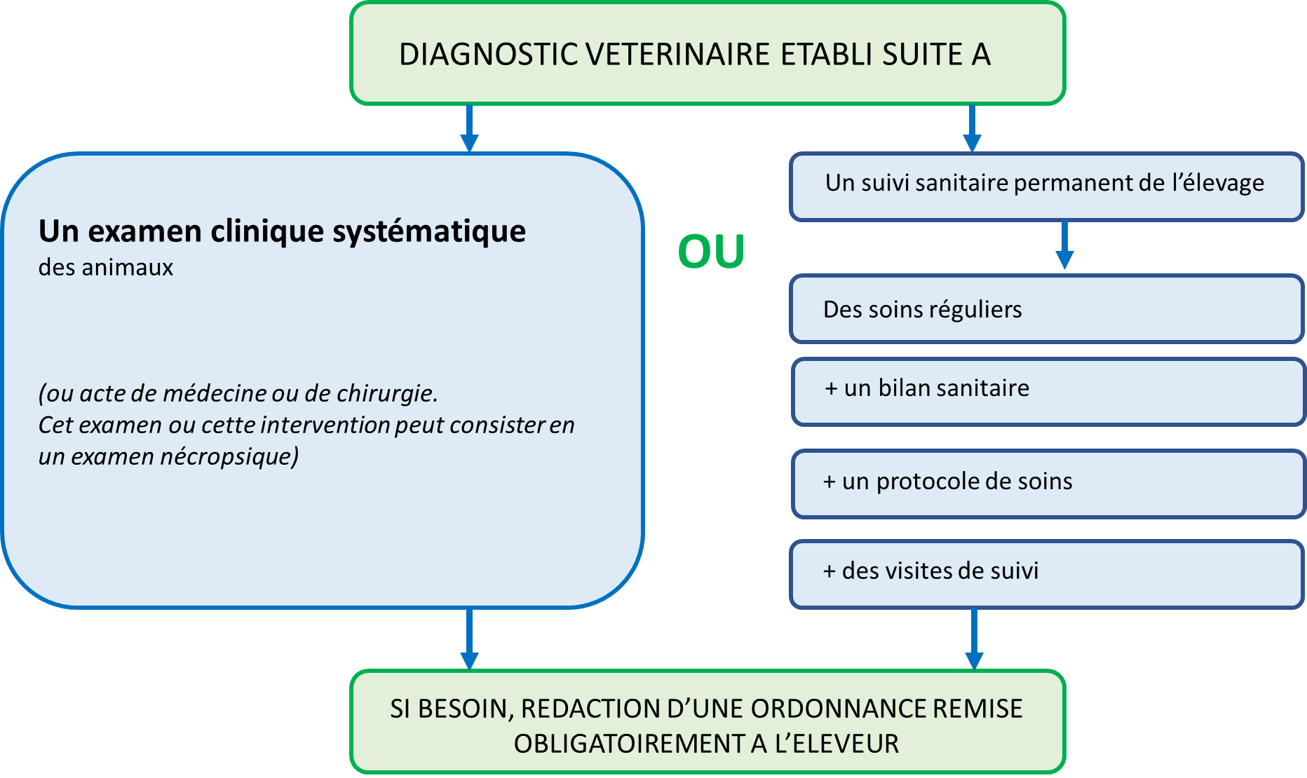 diagnstique-veterinaire-etabli-suiteA